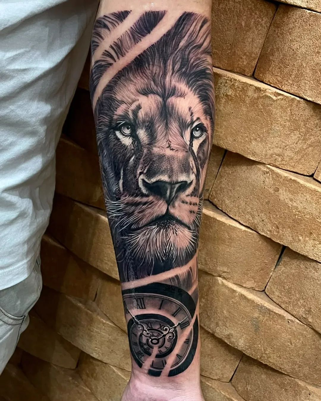 Leão