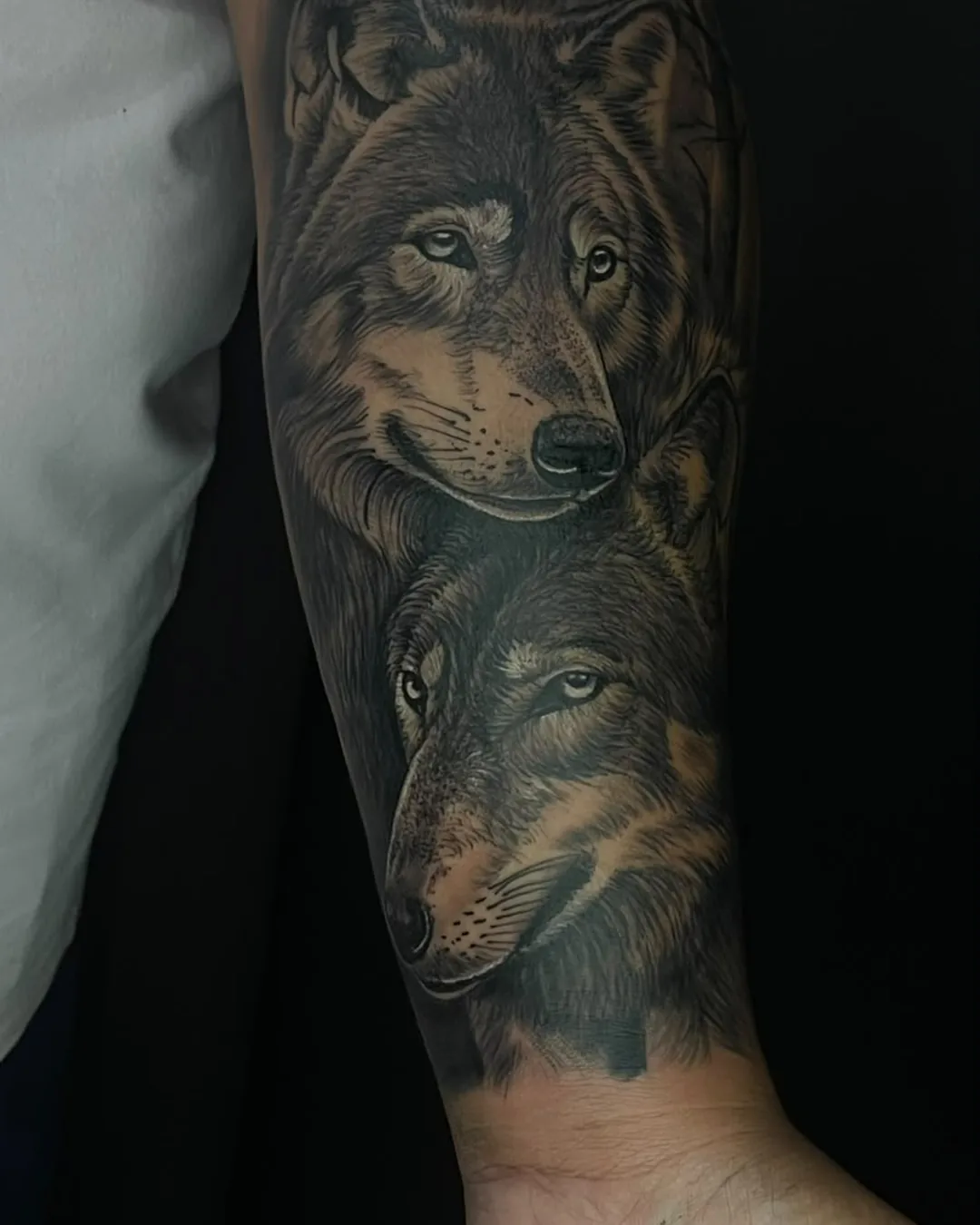 Lobos